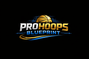 Translation missing: en.Pro Hoops Blueprint accessibility.home